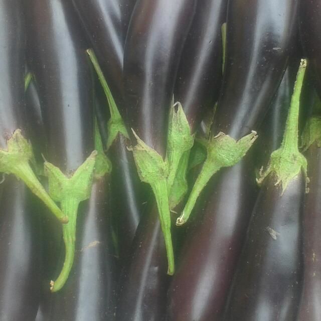 markgrown's tweet image. Harvested today..waiting your order!!