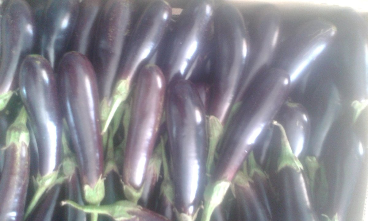 markgrown's tweet image. Why you should go without ravaya i dont know!!!!