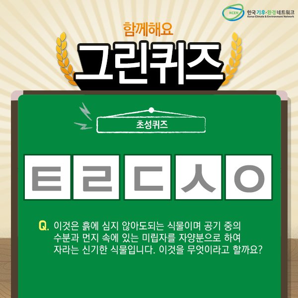 [그린퀴즈]
이것은 흙에 심지 않아도되는 식물이며 공기 중의 수분과 먼지 속에 있는 미립자를 자양분으로 하여 자라는 신기한 식물입니다. 이것을 무엇이라고 할까요?