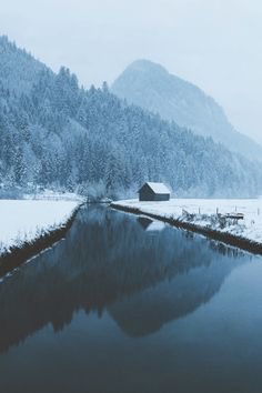 HHCBAPES's tweet image. Wondering all the time