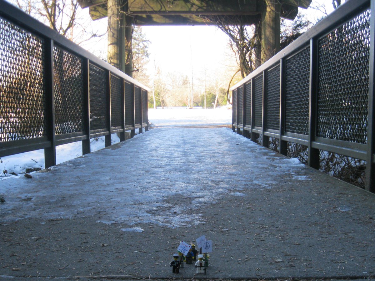 VillageSurrey's tweet photo. #ThisisSurrey Virtual March is about building bridges! And crossing them. #BridgeNotWalls https://t.co/quIE1WphQ8 #BearCreekPark https://t.co/7KC2ExhTk3