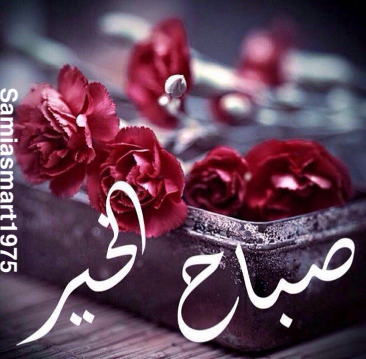 samiahighnest's tweet photo. #صباح الخير https://t.co/xrgwhxJ1gv