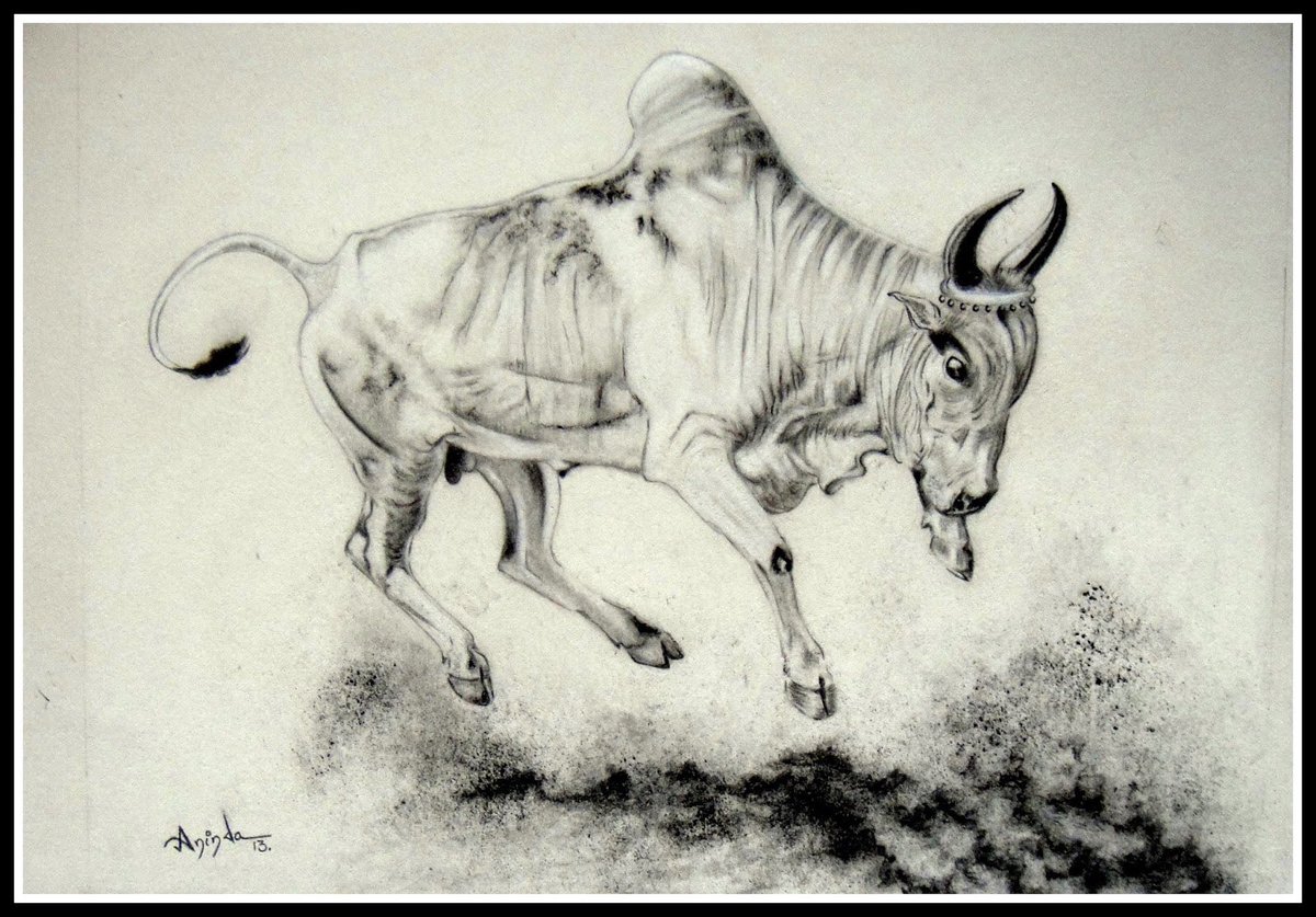 jeeva_ganason's tweet photo. The Dancing Bull.... https://t.co/yvNeMbrE3G