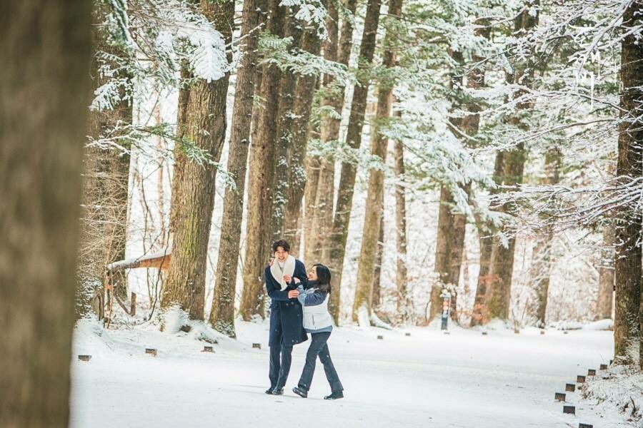 初雪,且以深情共白头 - sharon - sharon Related image