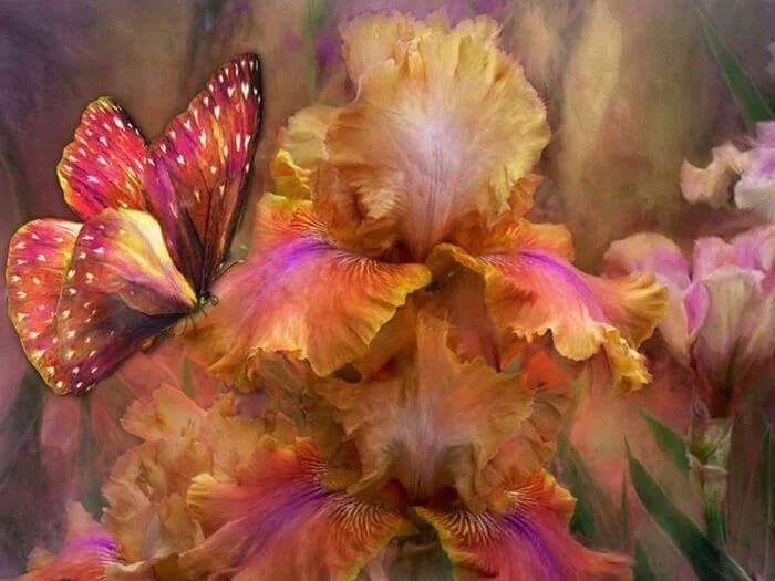 captain_mehyar's tweet photo. @AvinaMary 🎆🎆 https://t.co/FJD3TuqwFe