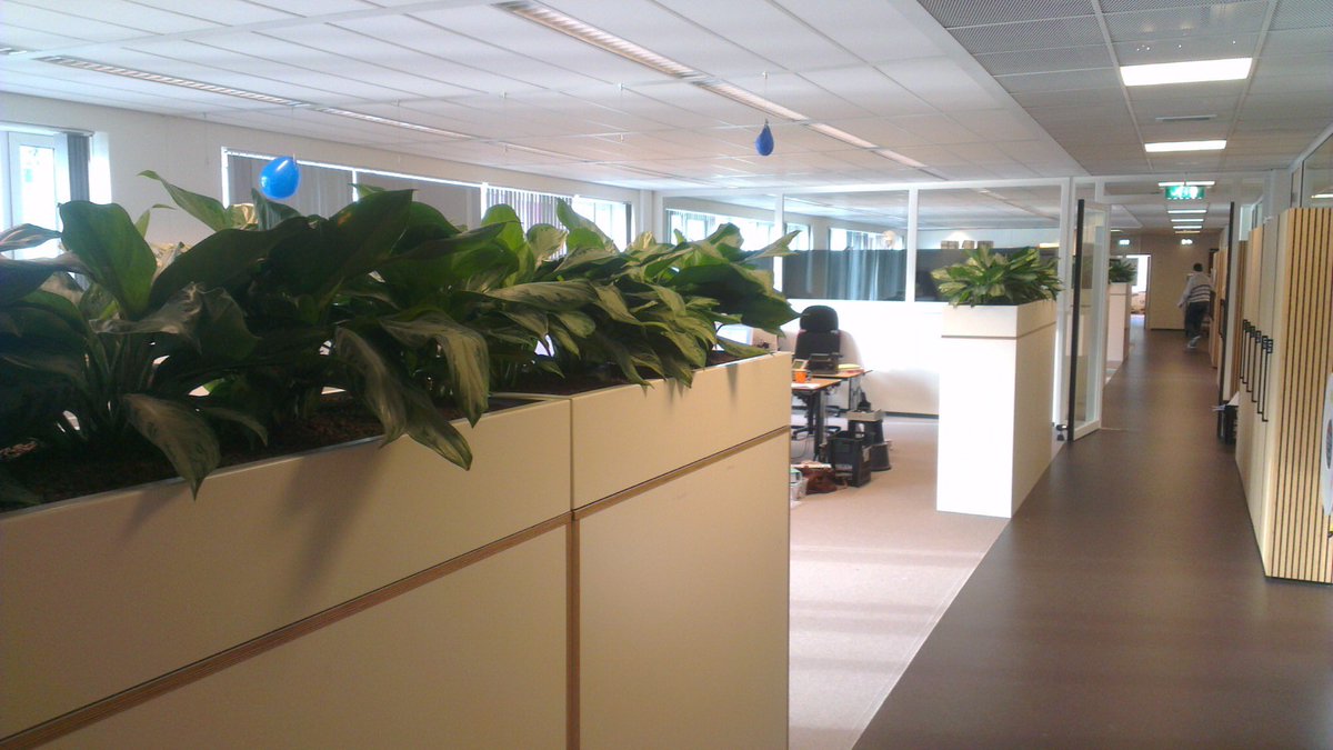 Custom made Stiel Trend Topper on top of a filing cabinet. Nice as a green devider and good for your health as well.