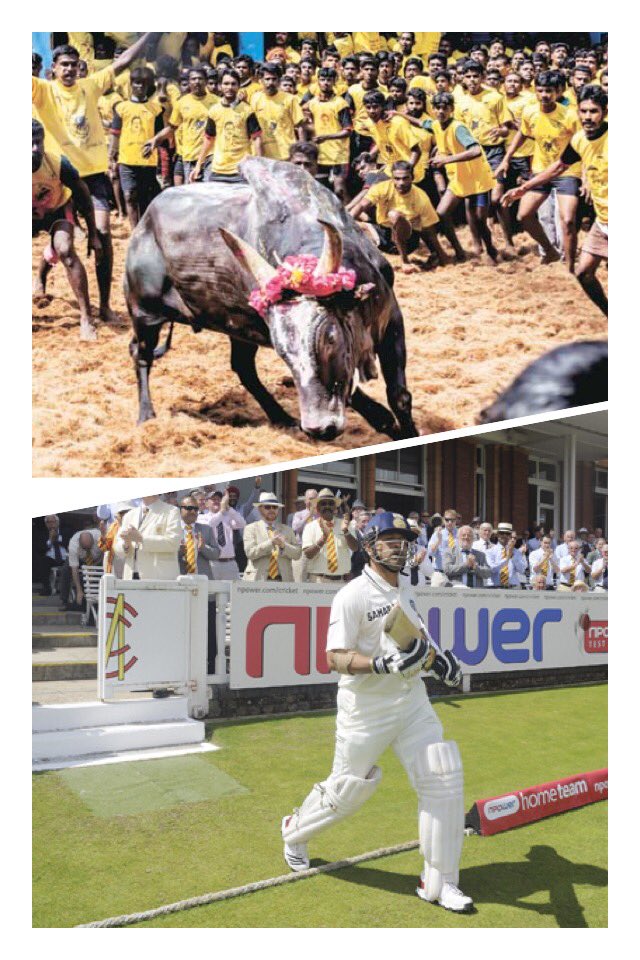 When the first bull steps out of Vaadivaasal the vibe is gonna be 1000 times bigger than a Sachin's entry in Mumbai stadium.Get ready India😂