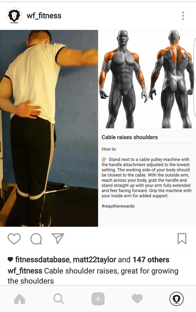 wf_lifting's tweet photo. No Pain, No Gain!!
#bodybuilding #naturalbodybuilding #macros #iifym #protein #gains #aesthetics #squatting #powerlifting #gymtutorials https://t.co/nCgSdQ9CGl
