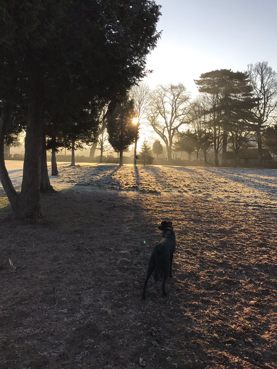 EventAndrew's tweet image. Beautiful frosty morning. #frosty #cold #frome