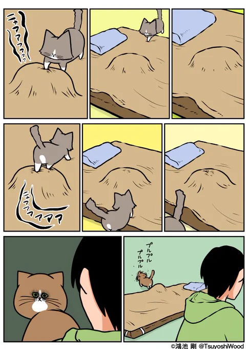 【漫画日記】違うから
 