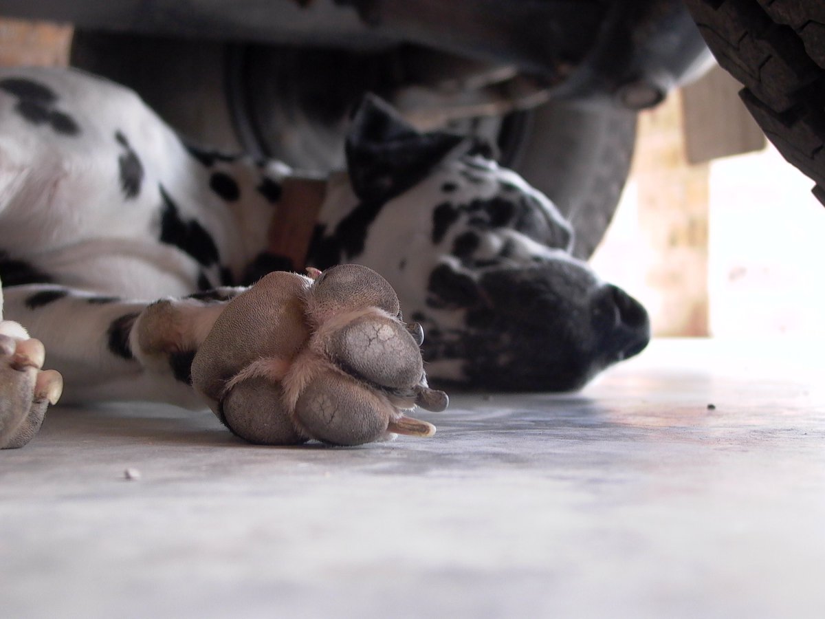 JasminBarnes23's tweet image. #O2SPhoto