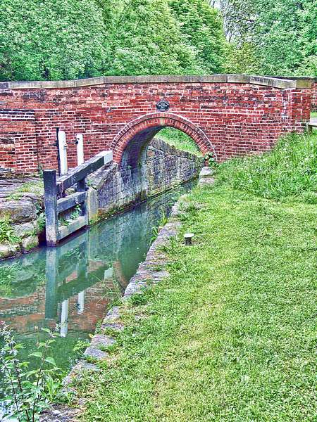 adrian_photo's tweet photo. Today's photos were taken on a walk along the Chesterfied Canal & Tapton Lock #madeinderbyshire #chesterfield #taptonlock https://t.co/uY0Bu8MJ8e