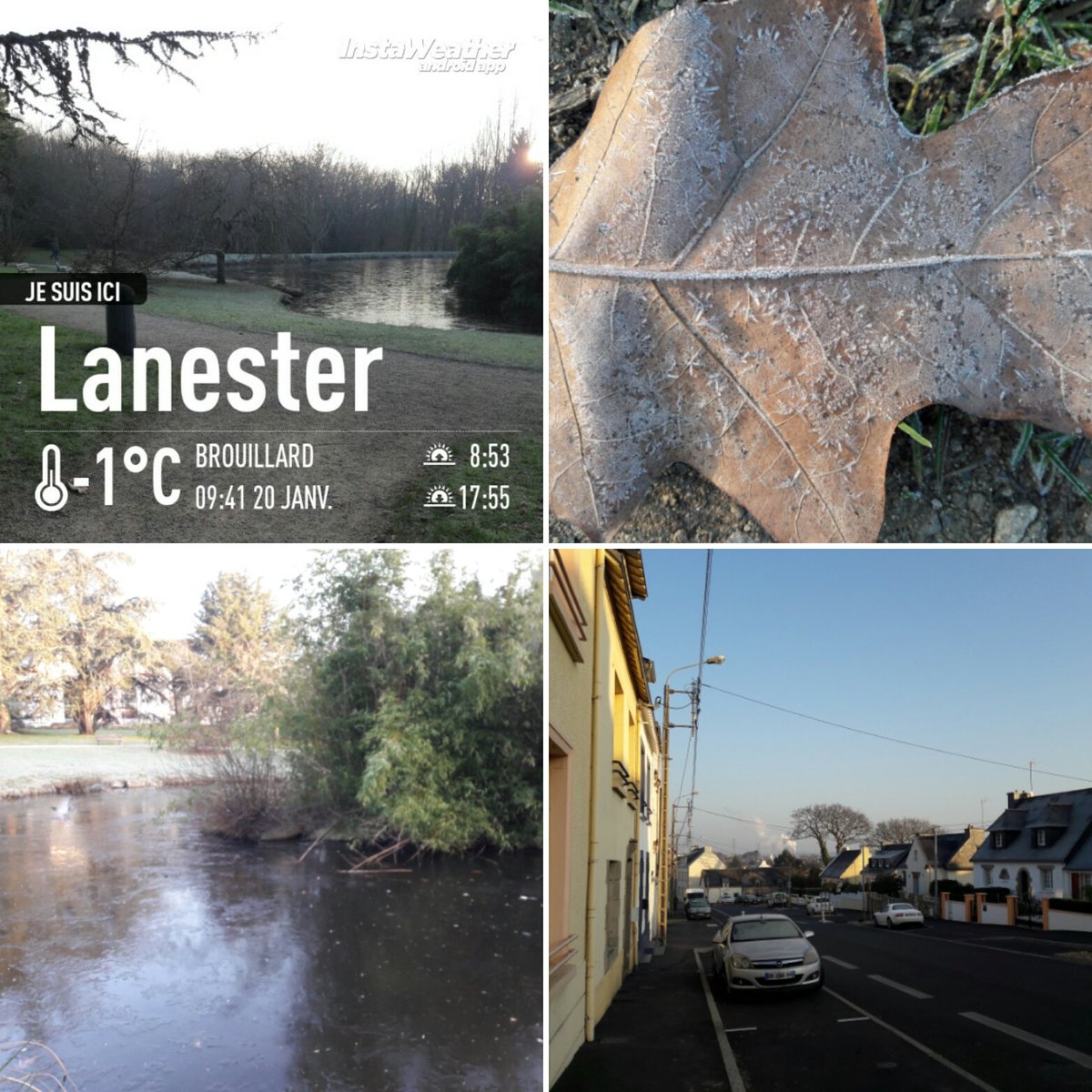 SteffMERCIER's tweet photo. #Marche toujours matinale avec Époxy à #Lanester. https://t.co/0U1TipKVgo