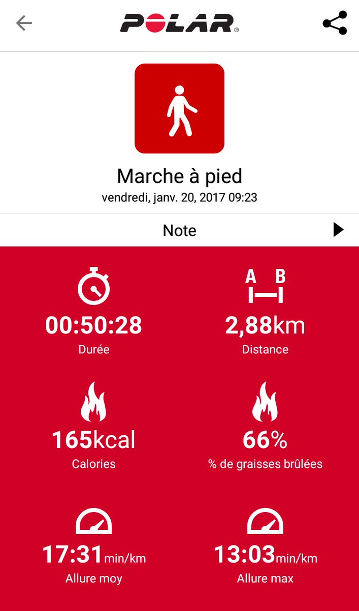 SteffMERCIER's tweet photo. #Marche toujours matinale avec Époxy à #Lanester. https://t.co/0U1TipKVgo