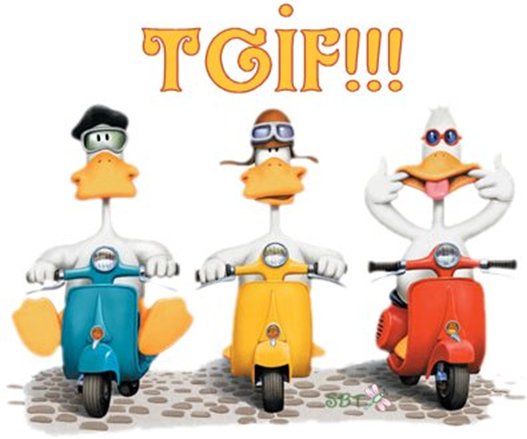 SaxonElec's tweet photo. The weekend is nearly here people ! #FridayFeeling #FridayFun #happy2017 #nottingham #electrician #ng5 #diyer https://t.co/C09euWdfC3
