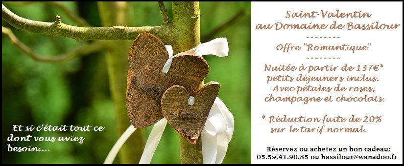 DomainedeBassi's tweet image. ❤️🌹🍾Week-end Romantique ❤️🌹🍾bit.ly/2j0PrNO #bassilour #bidart #hotel #biarritzpaysbasque #enmodebasque #love #loveisintheair #amour