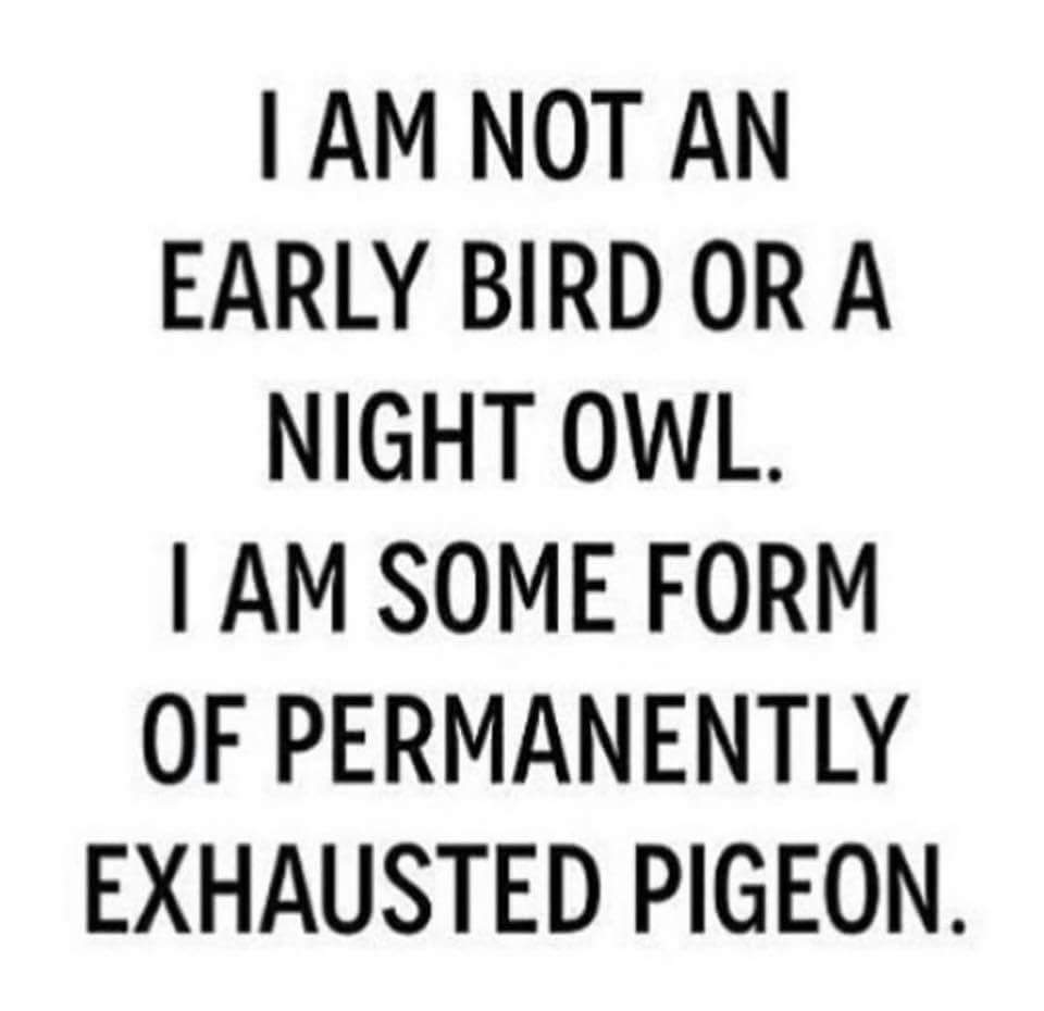 MissChantzi's tweet image. 😂😂😂 When DRAMS gets the better of you #ImOneExhaustedPigeon #KeepFlapping