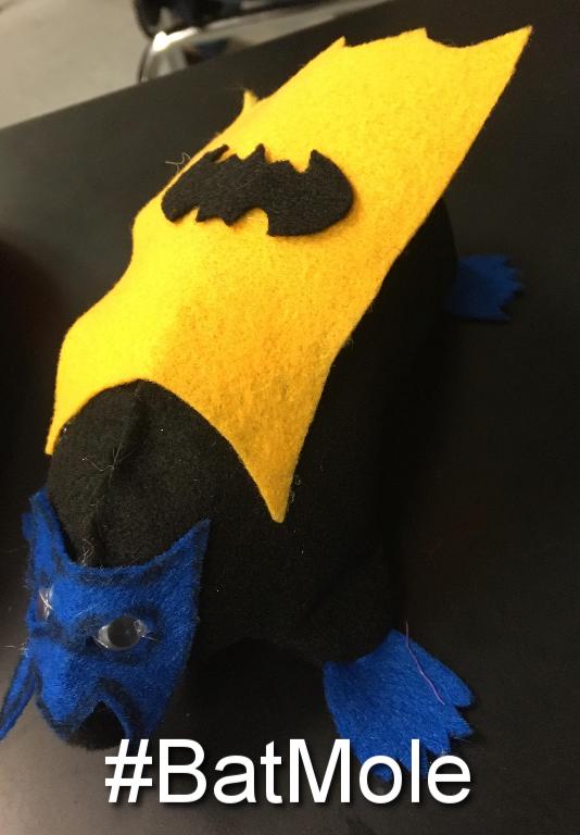 CoachMorrisCV's tweet photo. Voting is now open for the #MoleDay2017 #FinalNine ! RT or Mention with your mole's hashtag with #cvisdlearns . Voting will close Tuesday! https://t.co/BXU1u7cJi5