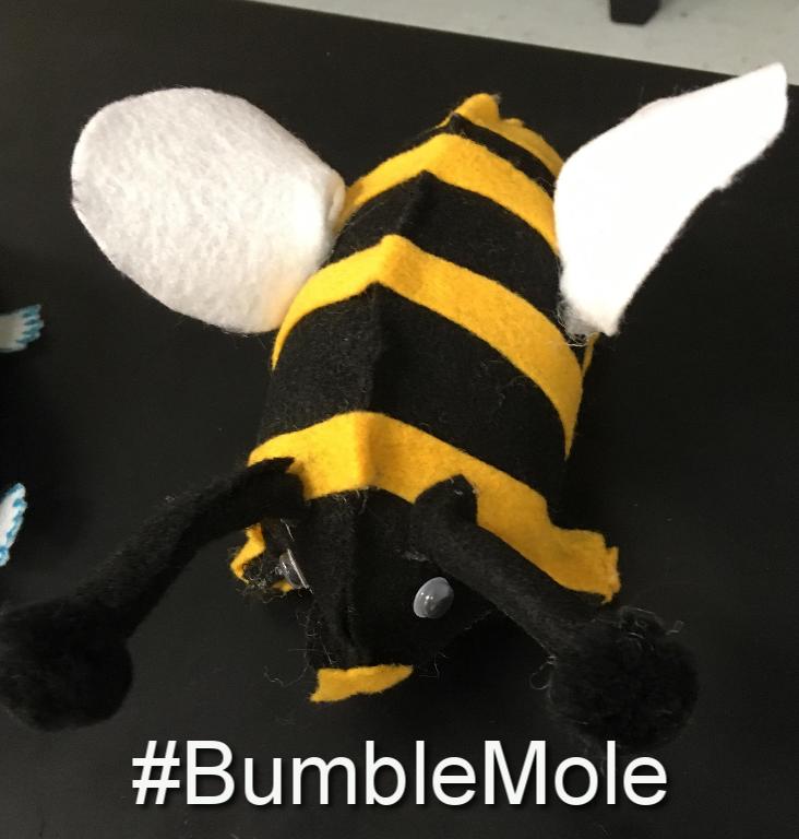 CoachMorrisCV's tweet photo. Voting is now open for the #MoleDay2017 #FinalNine ! RT or Mention with your mole's hashtag with #cvisdlearns . Voting will close Tuesday! https://t.co/BXU1u7cJi5