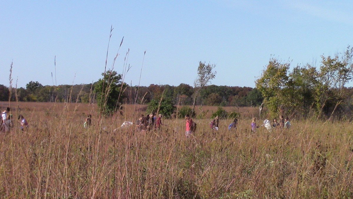 Check out our new Virtual Field Trip for connecting #climatechange  #ecology &amp; Midwest ecosystems @MissouriEPSCoR <a href="/MizzouEducation/">Mizzou Education & Human Development</a>