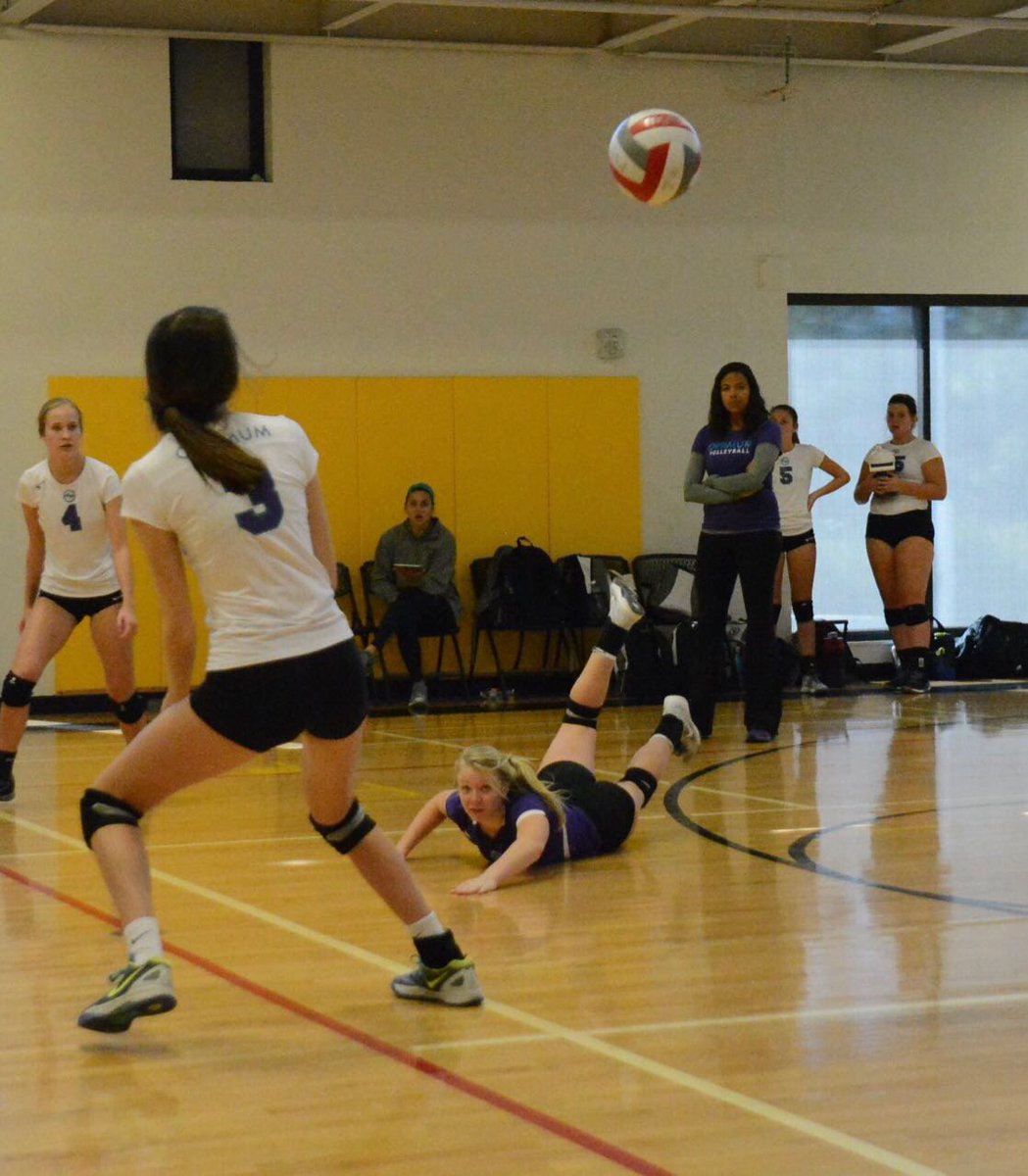 Optimum Volleyball tweet media