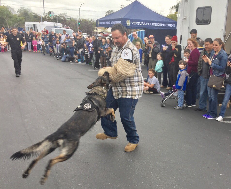 VPD_Foundation's tweet photo. K9 Yankee @ last year's Chillin' w/ VPD. Join us tomorrow for this fun event at the Pacific View Mall 12- 3pm. Free McConnell's Ice Cream! https://t.co/PXEGfE6PLF