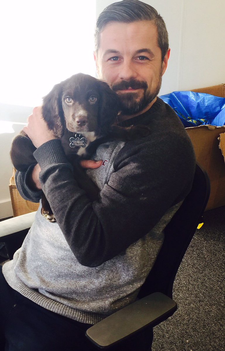 Inklovesprint's tweet photo. New addition to Team Ink!! #Archieclark #cockerspanielpuppy #fridayfeeling #puppylove https://t.co/f6lJAH5IDG