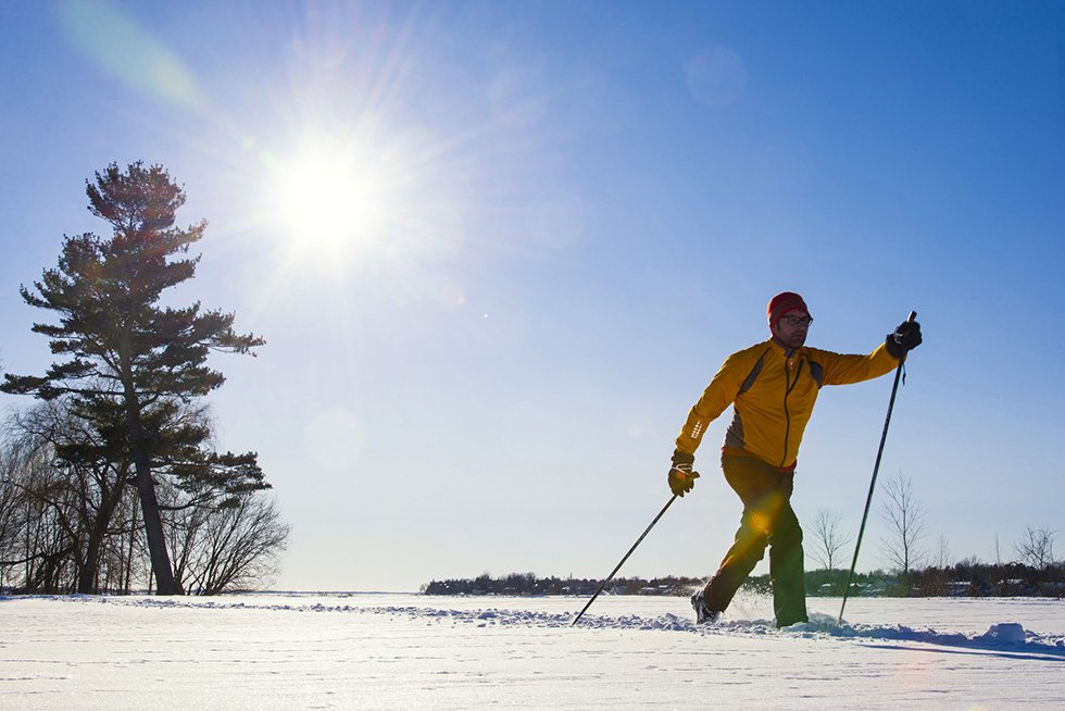 Kingston Olive Oil (KingstonOlive) Twitter