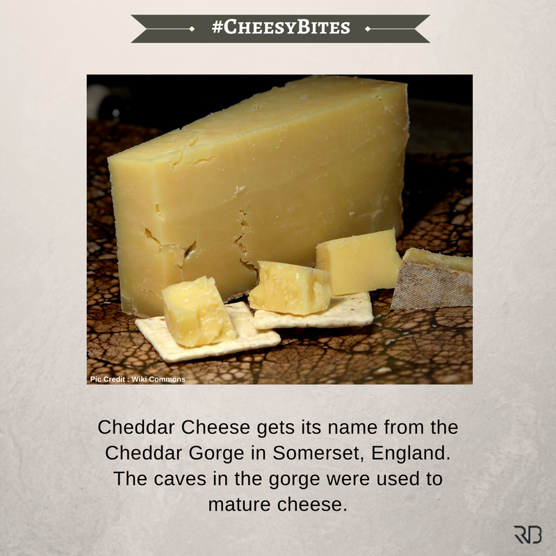 ranveerbrar's tweet photo. Here's another #CheesyBite about one of the most popular cheeses - Cheddar
#RT #CheeseLoversDay https://t.co/YboXSUBs2k