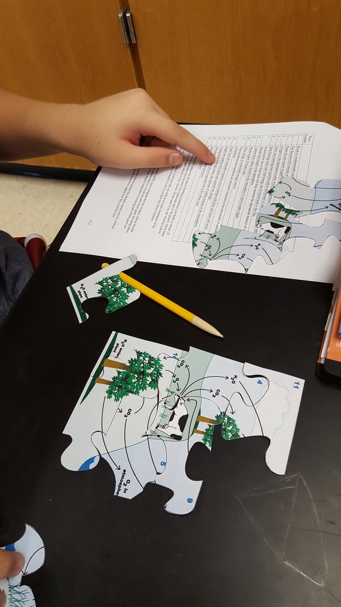 KurseNimmie64's tweet photo. Ss put together puzzle choosing true statements about carbon cycle. Pieces are chosen based on T statements #tjmsscience @NealCase https://t.co/at7IXogOx2