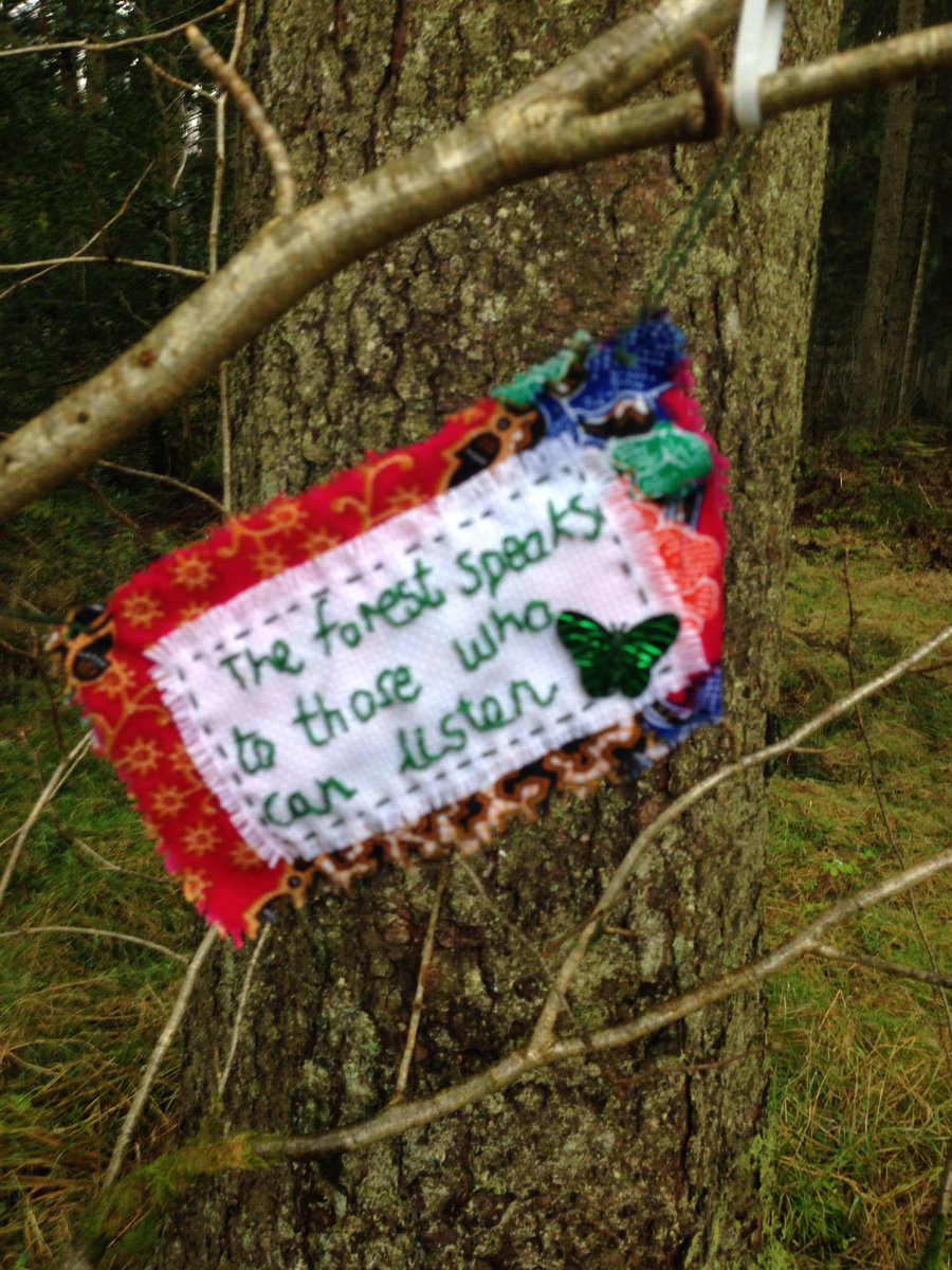 mudnedd's tweet photo. Stoating roon the Ae forest, thinking this is the best therapy ever and this appears 😍 #walk1000miles #aeforest #7stanes #cute https://t.co/Y6FQZRKbI5