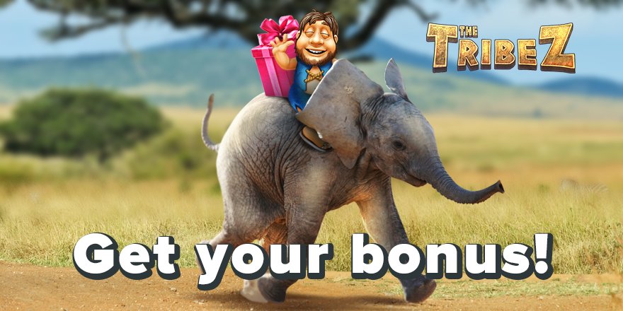 The Tribez tweet media