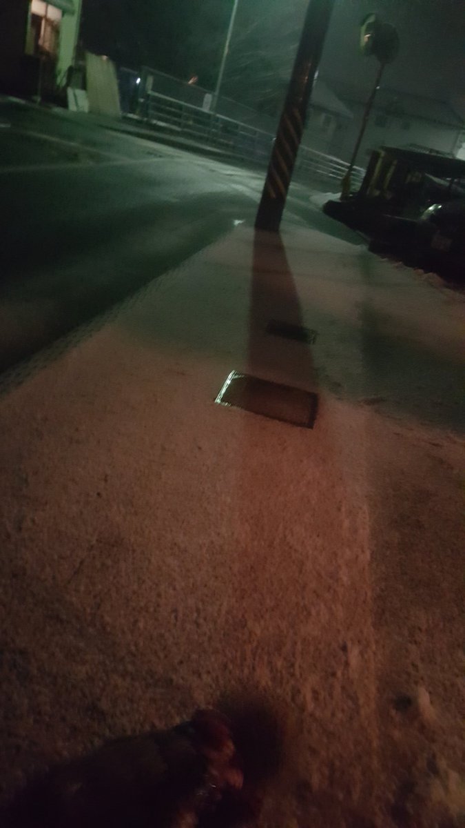 fsongdou's tweet photo. もう雪が積もり始めとるし😵 https://t.co/6EXqQ95QAT