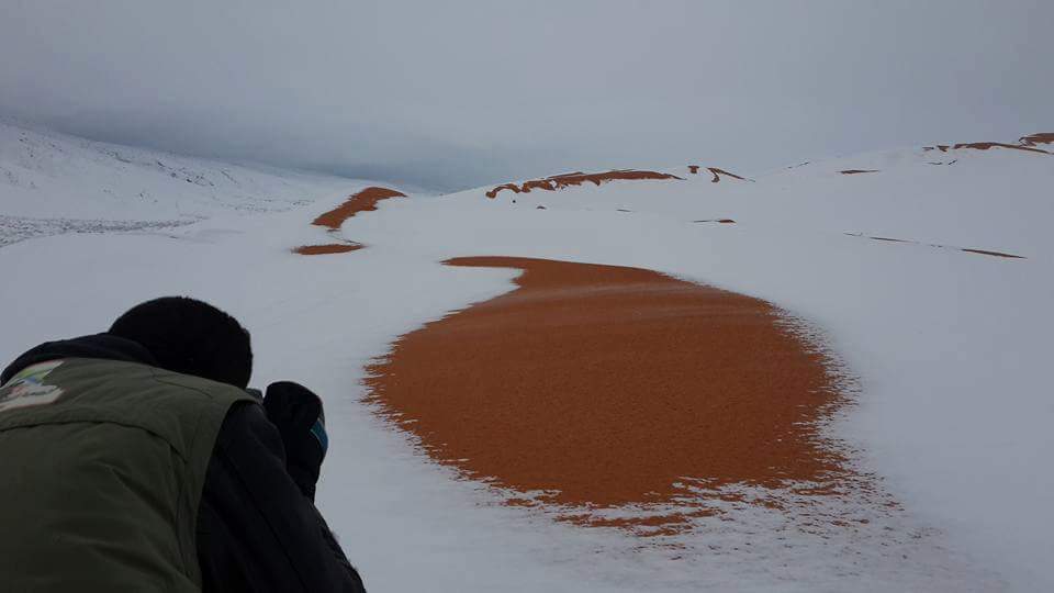 Discover_DZ's tweet photo. Il a encore Neiger au Sahara Algérien ! ◇Algerian Sahara◇ #Algérie #Algeria #Alger #Hiver #Travel #nature #Desert #photography #الجزائر https://t.co/l0LFo0YQ7P