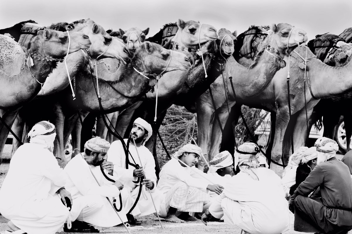 khalilpho8's tweet photo. يالله بسبوق دوم تهدي التحايا 
فلته تشل الرمز من كل ميدان
ان روحت دايم عصاها فالبطان تخلف نوايا اللي براسه نوايا وتشل فوق الكاس والنيسان https://t.co/XkG4Y4KhyQ