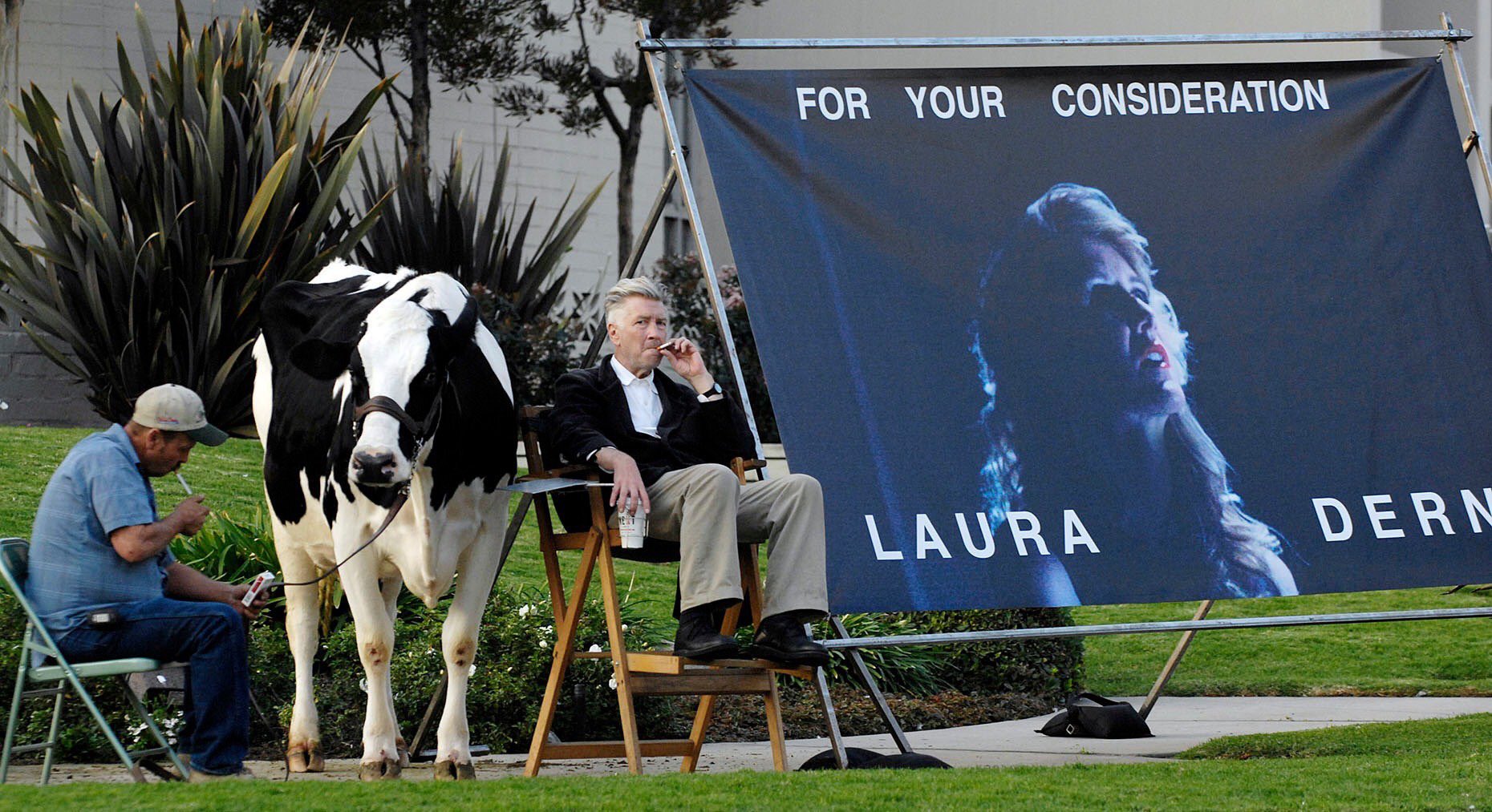 Happy birthday to my unofficial dad David Lynch, seen here campaigning for Laura Dern\s Oscar nomination with a cow: 