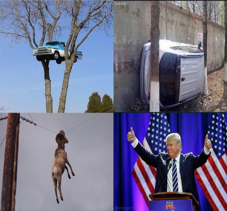 chatgentil's tweet photo. Parfois on regarde certains trucs et on se demande comment ils sont arrivés là. #investituretrump https://t.co/Hqo9YM7oMW