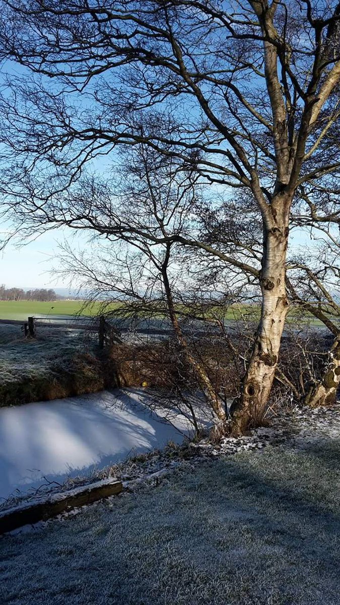martijn_venema's tweet photo. Prachtig #winterweer #tjonger #zevenbuurt #delfstrahuizen #friesland #fryslan #groepsaccommodatie @RikTjonger https://t.co/OJLh2p7AnS https://t.co/mU9ZQhU7Rm