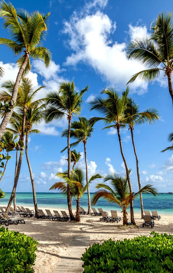 Escape_For_Less's tweet photo. #RepublicaDominicana #puntacana https://t.co/PLFFHYahYi