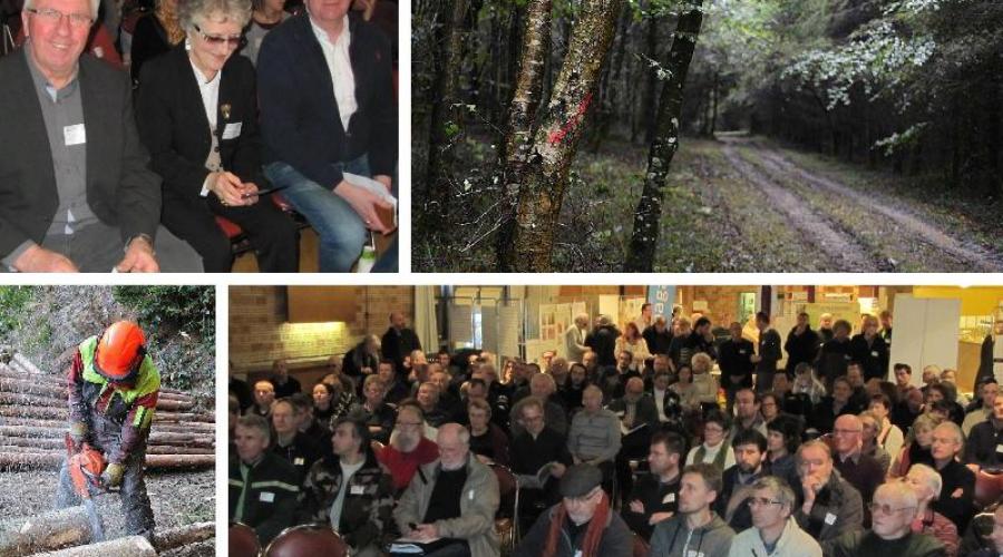 OuestFrance29's tweet photo. Carhaix. Pour que le bois soit l’or du Centre Ouest Bretagne https://t.co/FkkmlyFBPA https://t.co/KrdPQ0mkkC