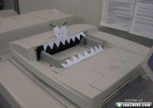 fleximaging's tweet image. It's #FridayFunnies day! #humor