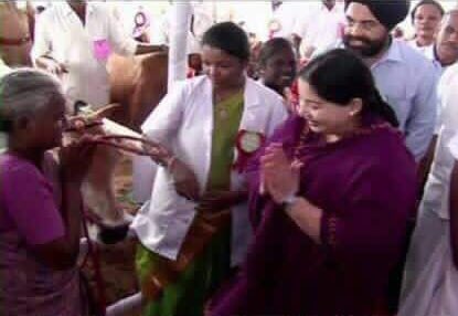 Writer_Naina's tweet image. இந்தம்மா இலவசமா மாடு,ஆடு குடுக்கும் போது எத்தனை பேர் கிண்டல் பன்னாங்க! இன்று நம் நாட்டு மாடுகளின் அவசியம் புரிந்த இளைஞர்கள் 💪#AmendPCA