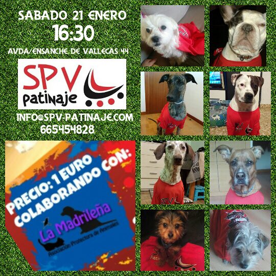 SPV Patinaje (@spvpatinaje) on Twitter photo 