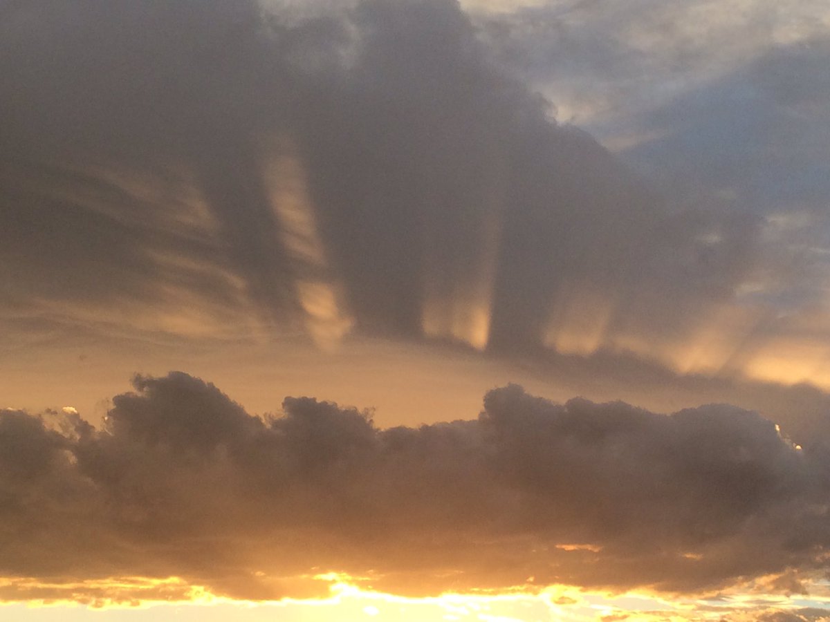 SmartPaperPrint's tweet image. God bless America. 🇺🇸 Our home sweet home. 
#InaugurationDay 2017