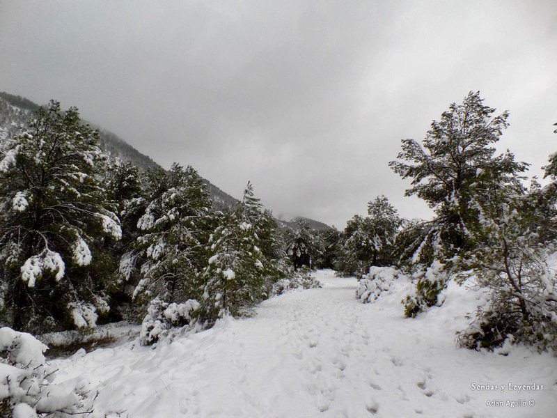 adnAbenthy's tweet photo. #Nevada histórica en la sierra de #Crevillent #Alicante. #nieve #senderismo https://t.co/ewhJPLUYTo