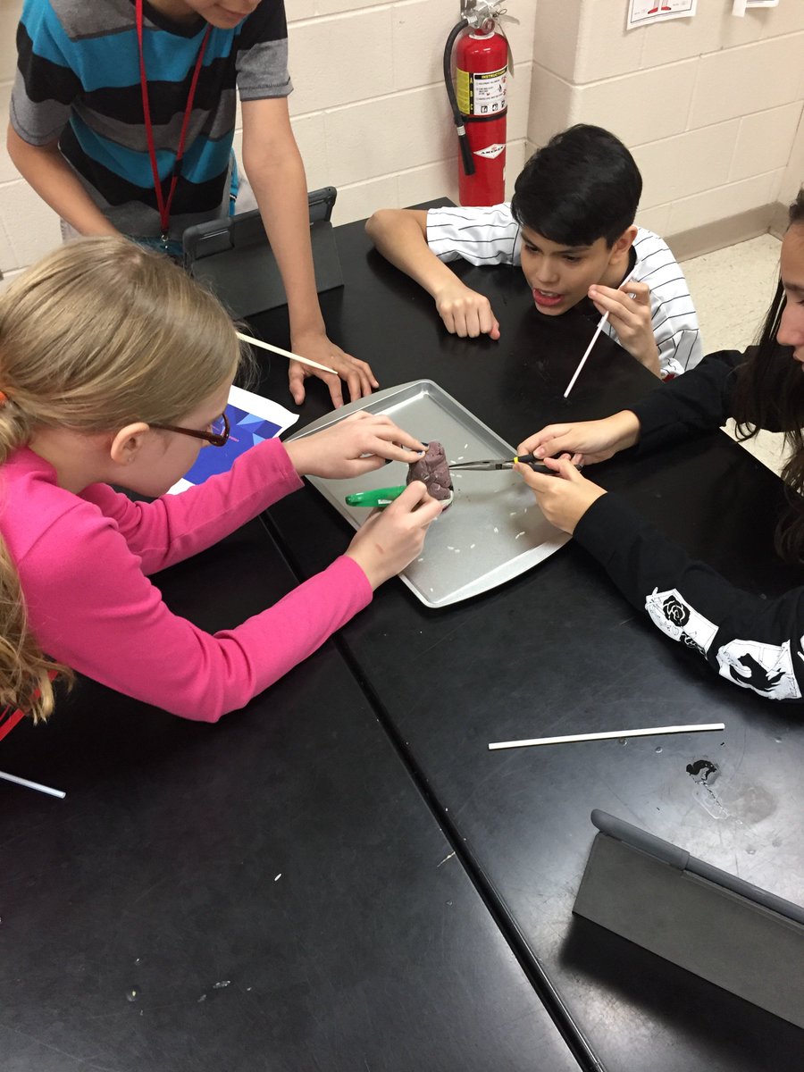 jkoll00's tweet photo. Bird beak adaptation investigation. #ngss #SEPs @HeritageD100 @Mrs_Coalson https://t.co/RaiIQiGcAU