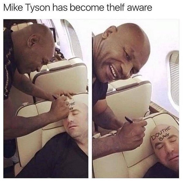 ladbible's tweet photo. Ohhhh Mike.... (instagram/will_ent) https://t.co/texFmlJWUQ