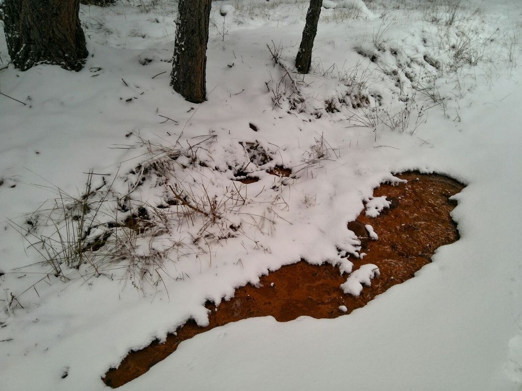 albarracinate's tweet photo. Parece que nos encontramos un #jamón paseando por la #nieve en la #SierraDeAlbarracín. Quién lo habrá empezado? https://t.co/lUrNFWhaoq