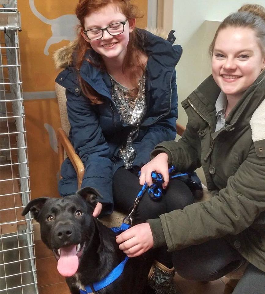 London Animal Care tweet media