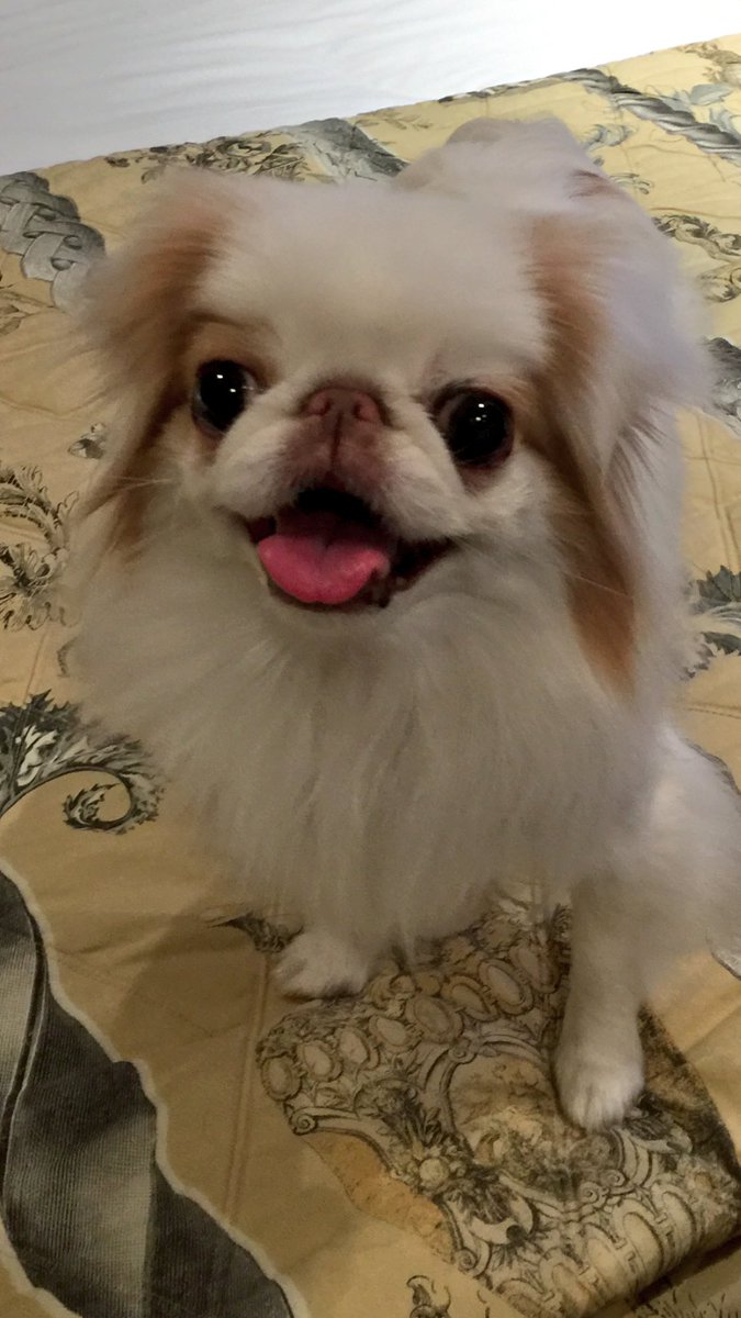 Viorica Patea Sur Twitter The Same To You And To Precious Bebe